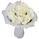 Букет из 11 белых гортензий