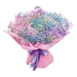 Букет из 11 разноцветных гипсофил